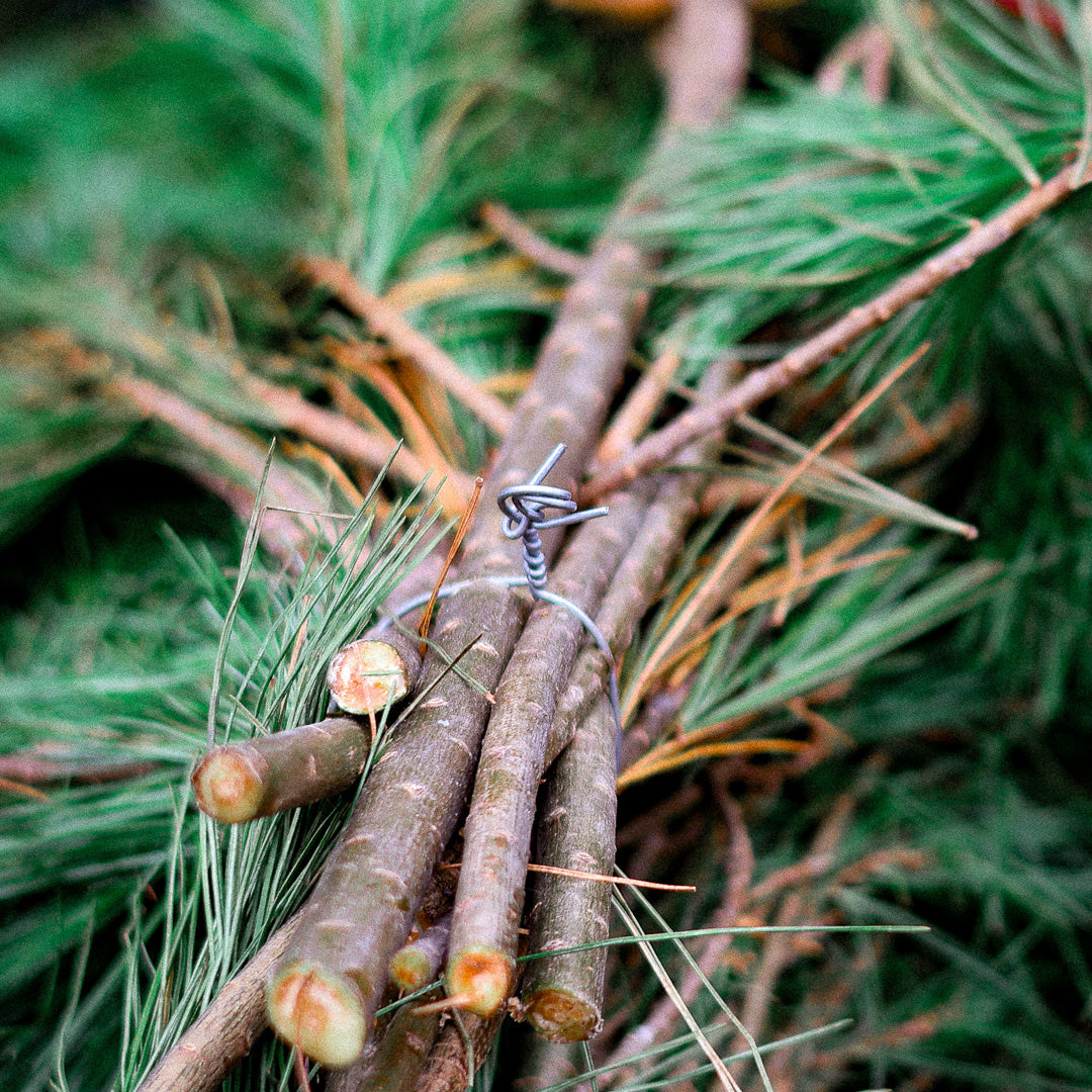 Freshly Cut Pine Branches Bundle