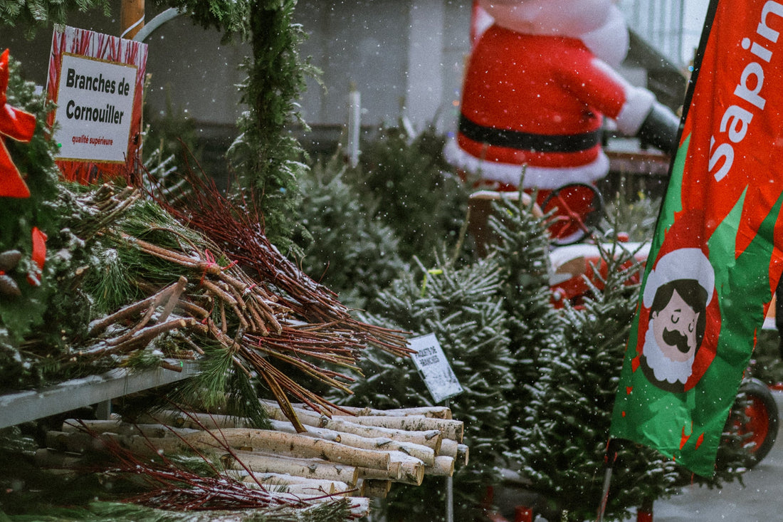 Sapins de Noël pour entreprises et événements à Montréal : livraison et grandes tailles