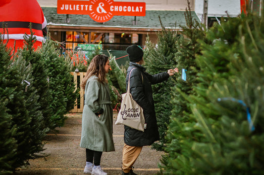 Quelle taille de sapin de Noël choisir? Guide selon la hauteur de votre plafond
