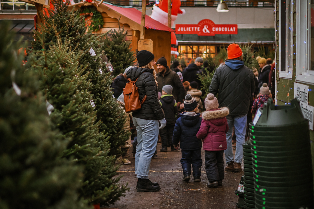 Organiser une levée de fonds avec des sapins de Noël à Montréal