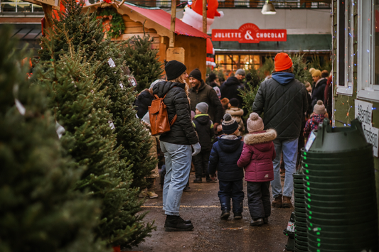 Organiser une levée de fonds avec des sapins de Noël à Montréal