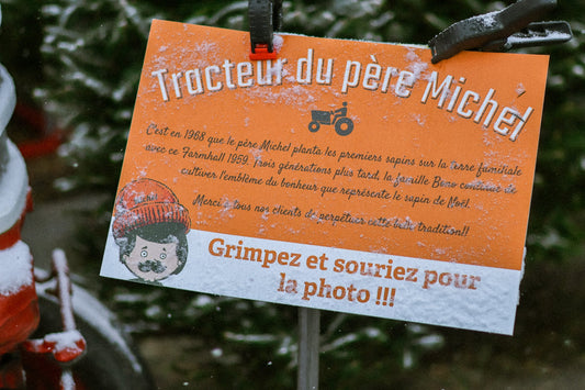 Pourquoi le sapin naturel reste une tradition de Noël au Québec