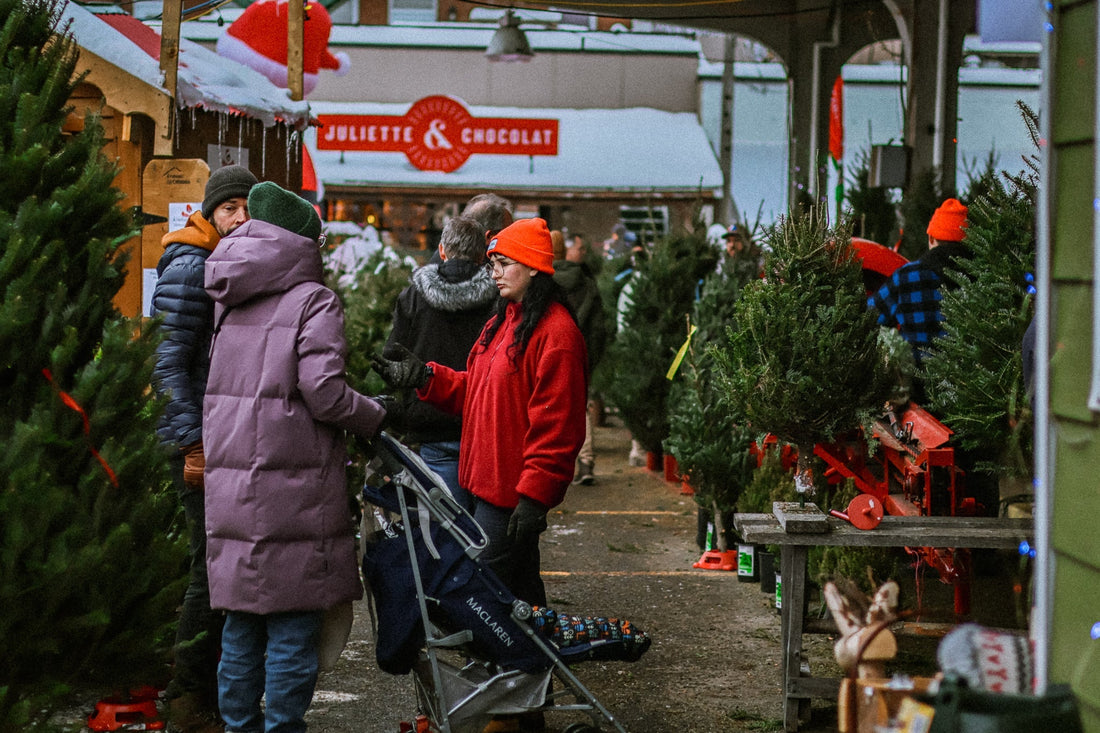 Où acheter un sapin naturel à Montréal en 2025 : le guide complet