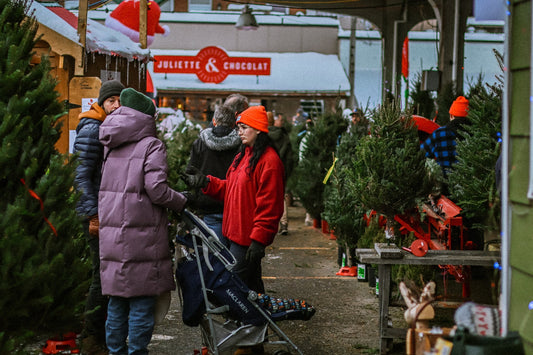Où acheter un sapin naturel à Montréal en 2025 : le guide complet