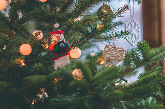 Vue de décorations sur des branches d'un sapin