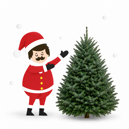 Sapin fraser