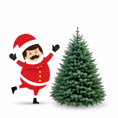 Sapin Lazio