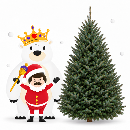 Sapin fraser