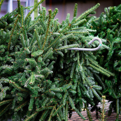 22'' Christmas wreath
