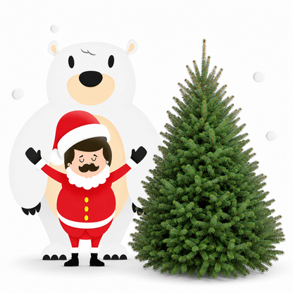 Sapin baumier