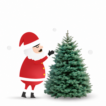 Sapin Lazio