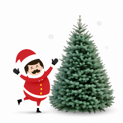 Sapin Lazio