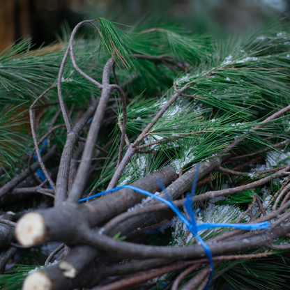 Freshly Cut Pine Branches Bundle