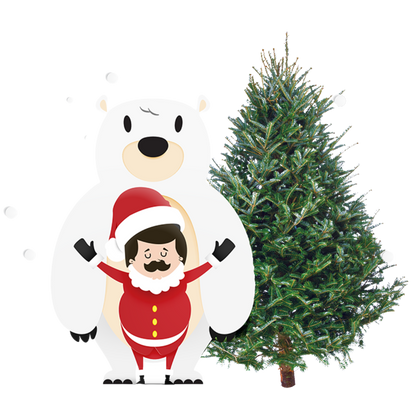 Fraser Fir
